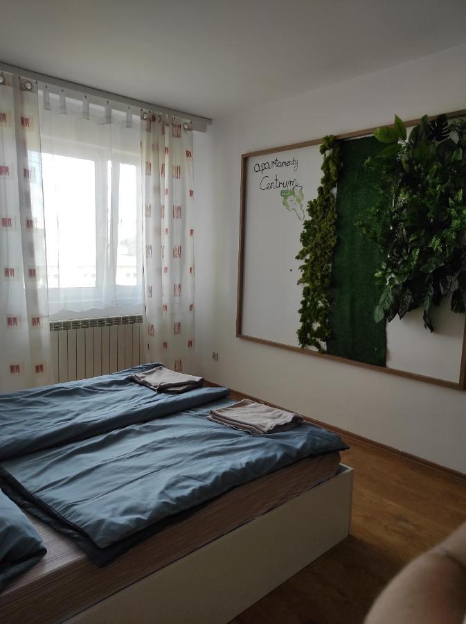 Apartamenty Centrum Waldenburg Exterior foto