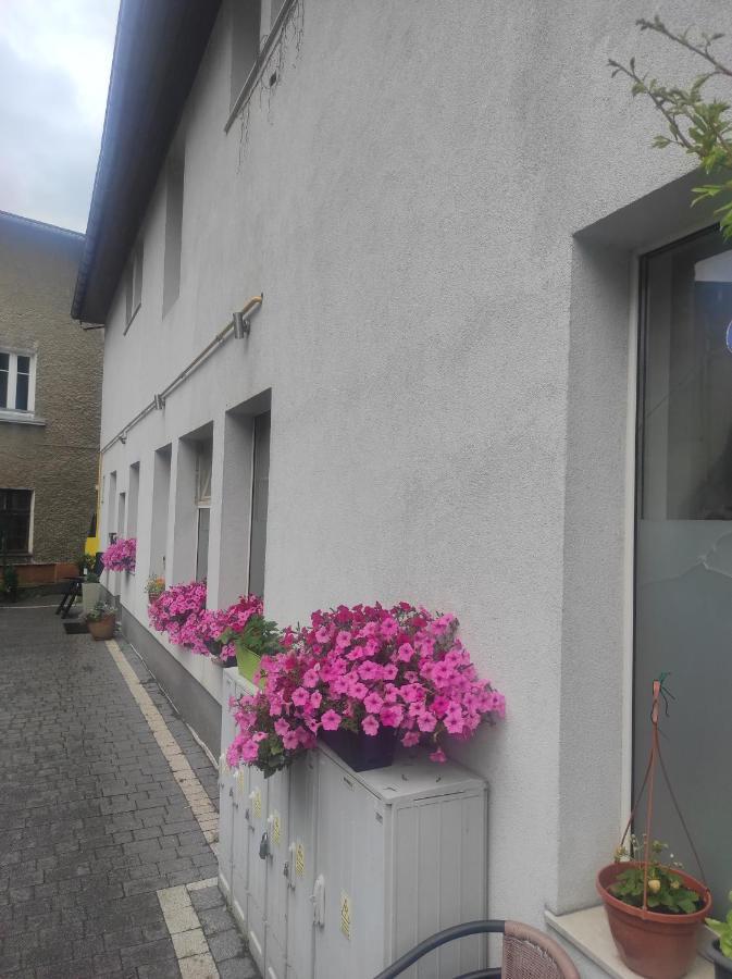 Apartamenty Centrum Waldenburg Exterior foto